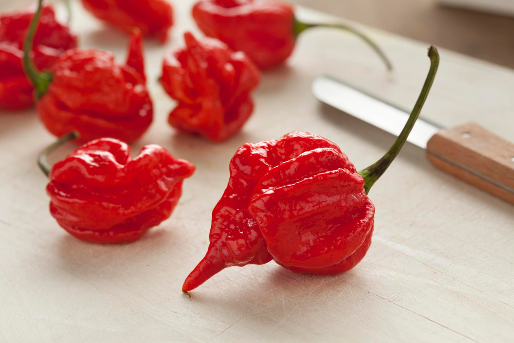 Trinidad Moruga Scorpion – brutális csípősség egzotikus aromával